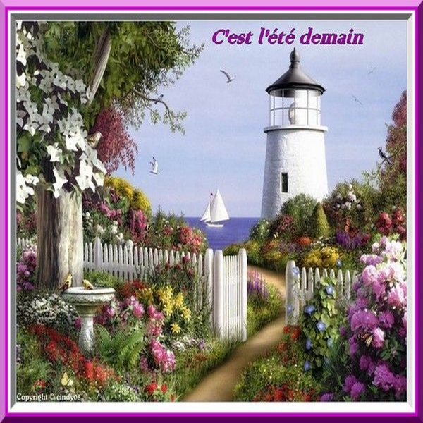  Bel été  21 juin  2020