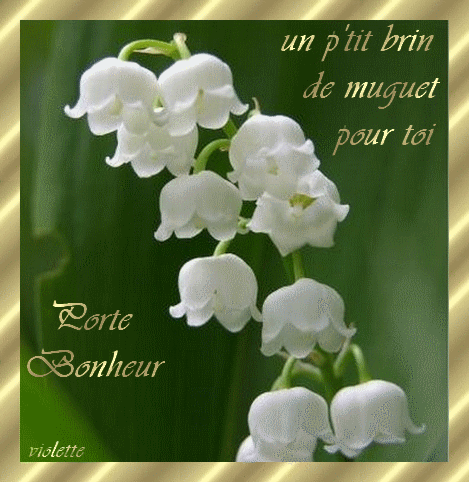 Résultat de recherche d'images pour "brin de muguet"