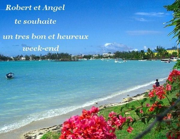 Créa prise chez Robert&angel