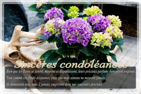 Mes condoléances amie Rosy