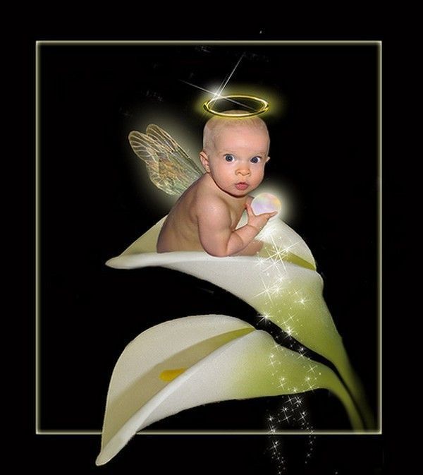 bébé ange